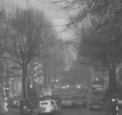Bristol Road Tree 1961