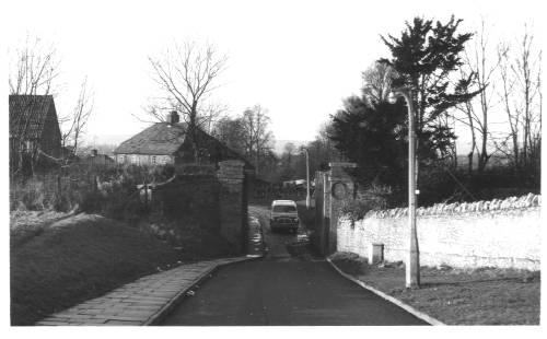 Orchard Lane 1964