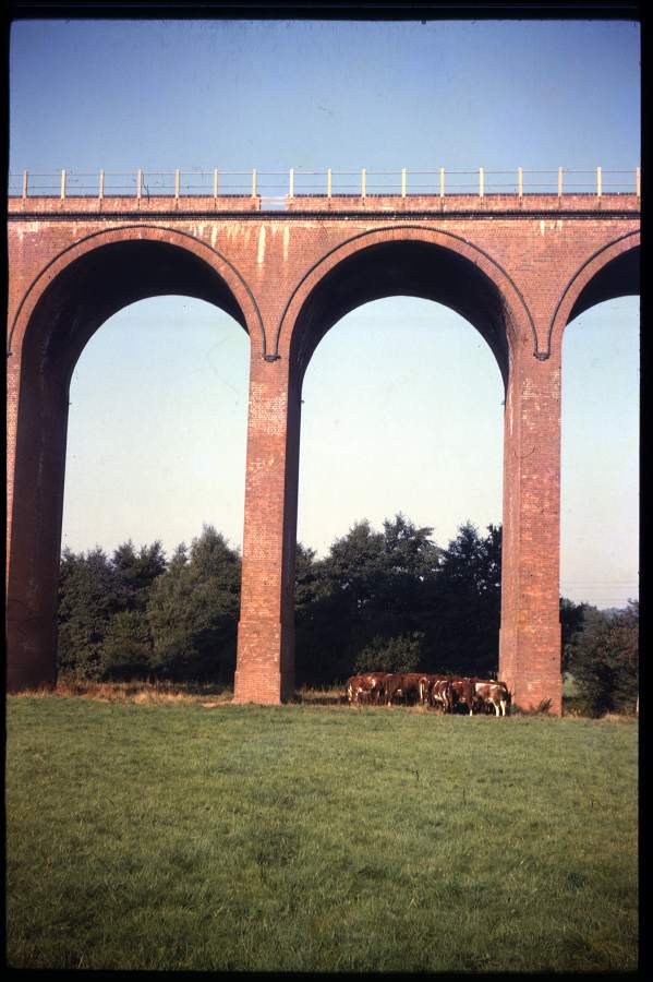 Viaduct arches, Ledbury