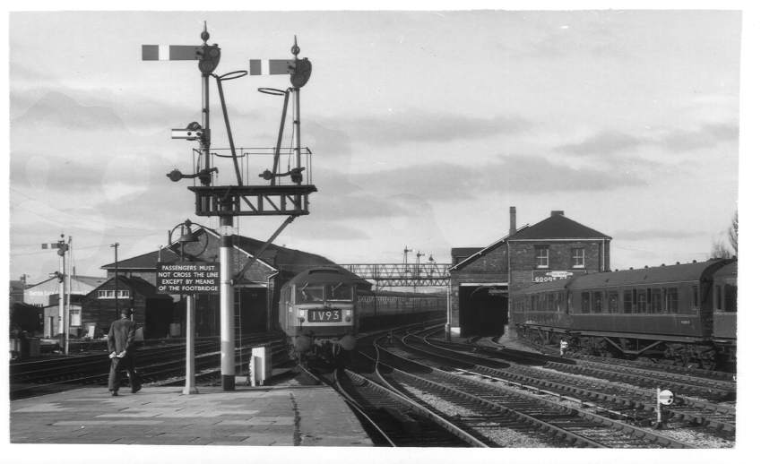 D1593 arriving Hereford Station 1964